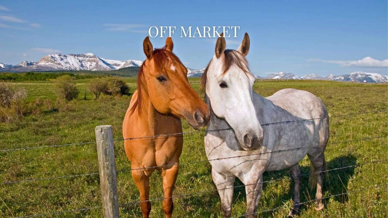 OFF MARKET Vue imprenable sur le Canigou et les Alb&egrave;res