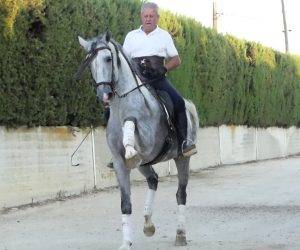 YAFAR: Un partenaire noble et appliqué