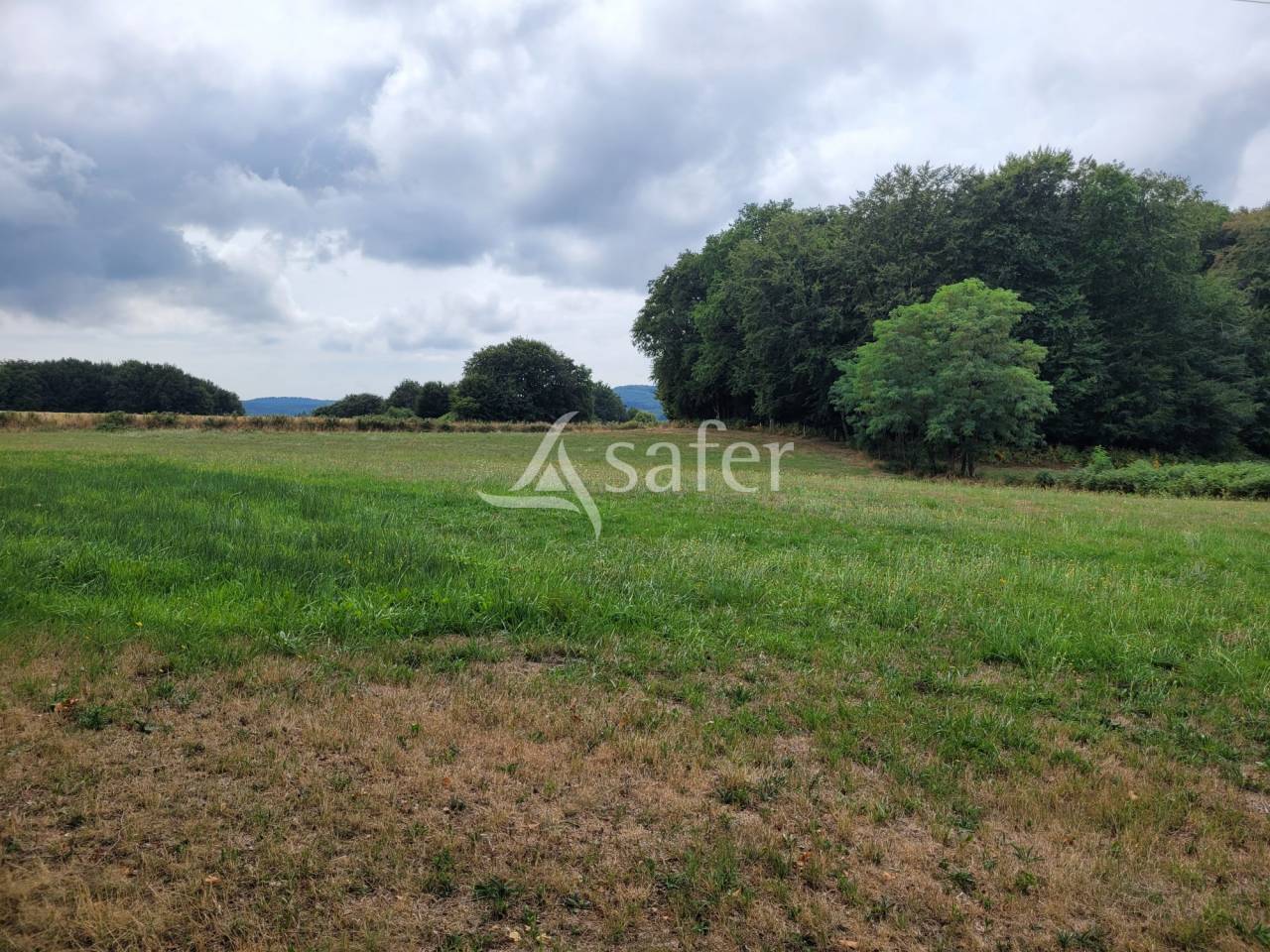 Terrain agricole LA SEGALASSIERE