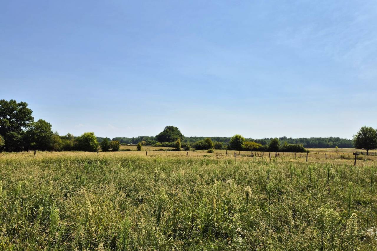 Aux portes de Louhans : Charmante propriété de 2,2 ha