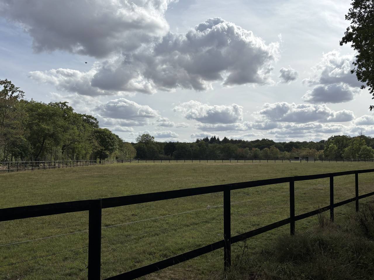 HARAS /PROPRIÉTÉ  11HA IDEALEMENT SITUÉ  CREVECOEUR 