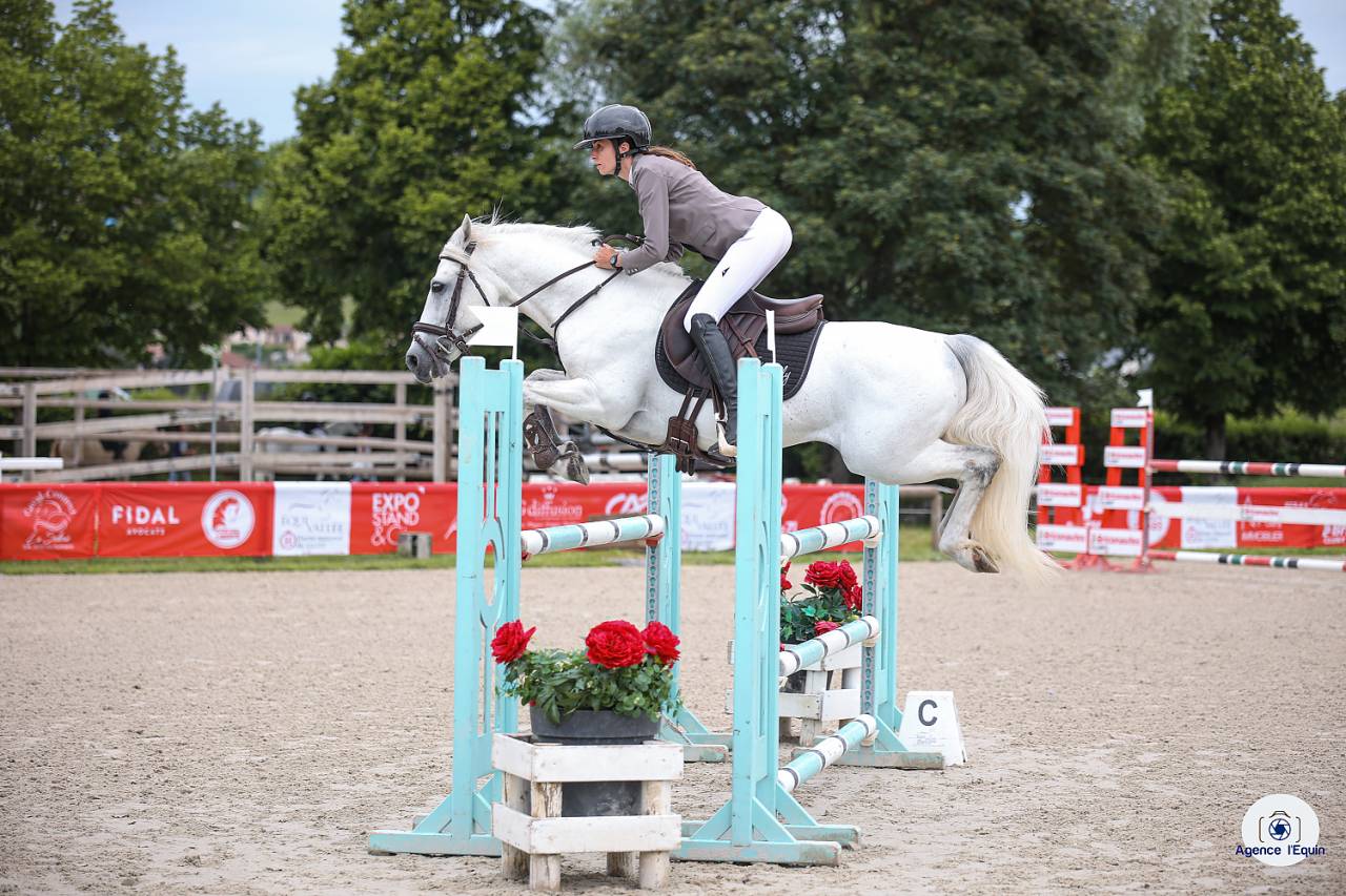 Mâle Connemara 8 ans 