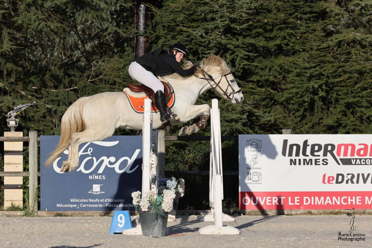 M&acirc;le Connemara 8 ans 