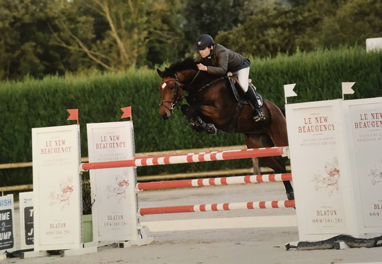 Hongre 13 ans CSO - A vendre