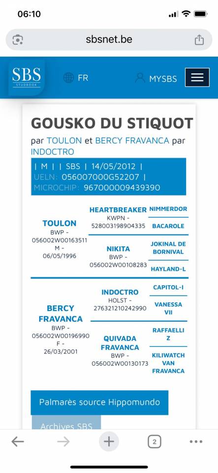 Hongre 13 ans CSO - A vendre