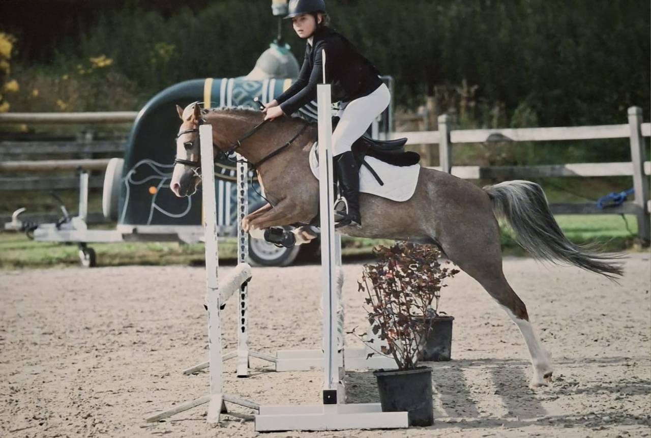 PRINSES adorable ponette Welsh 