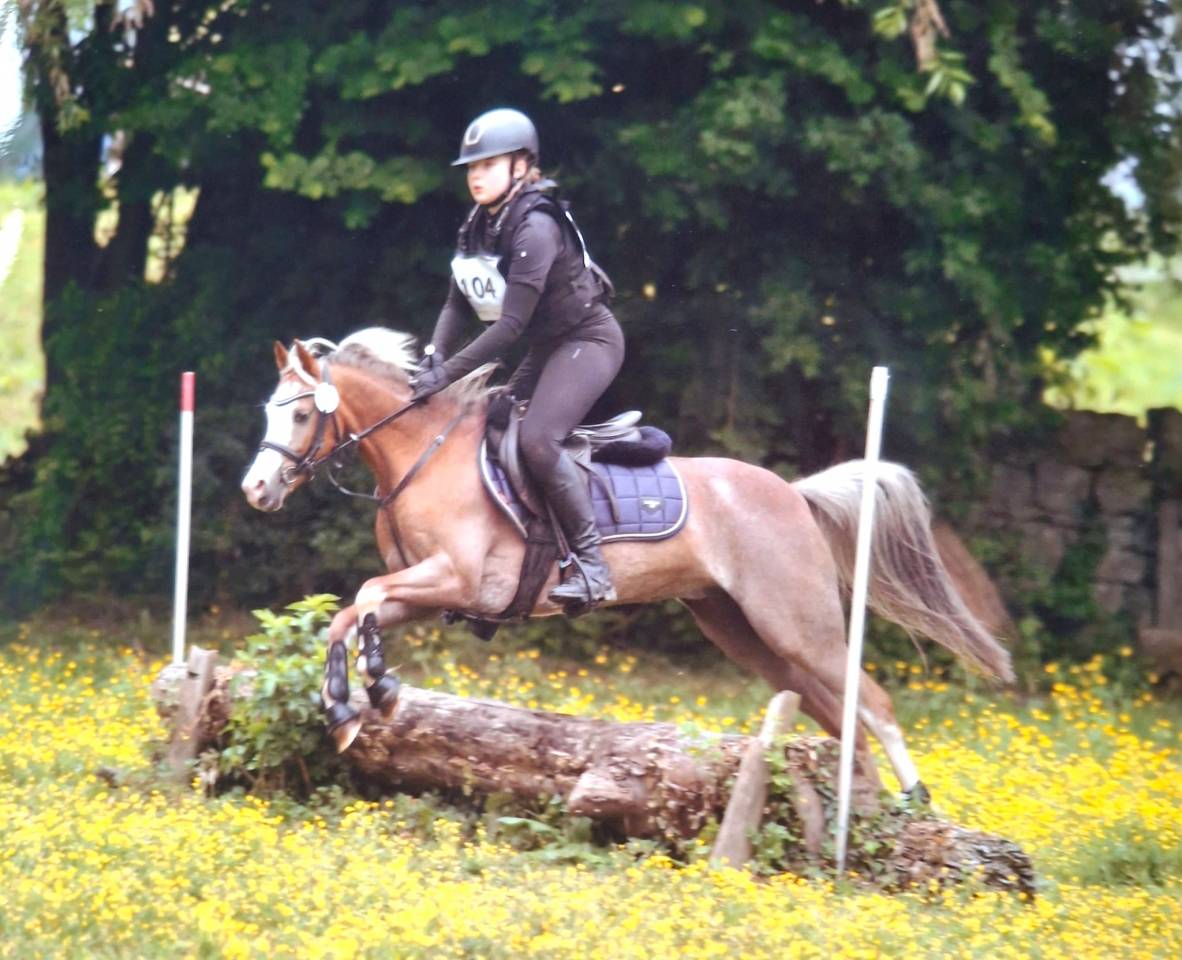 PRINSES adorable ponette Welsh 