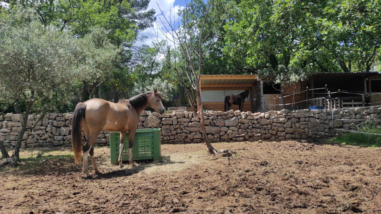 Ancienne bastide + dépendance sur 5,5 ha de terrain