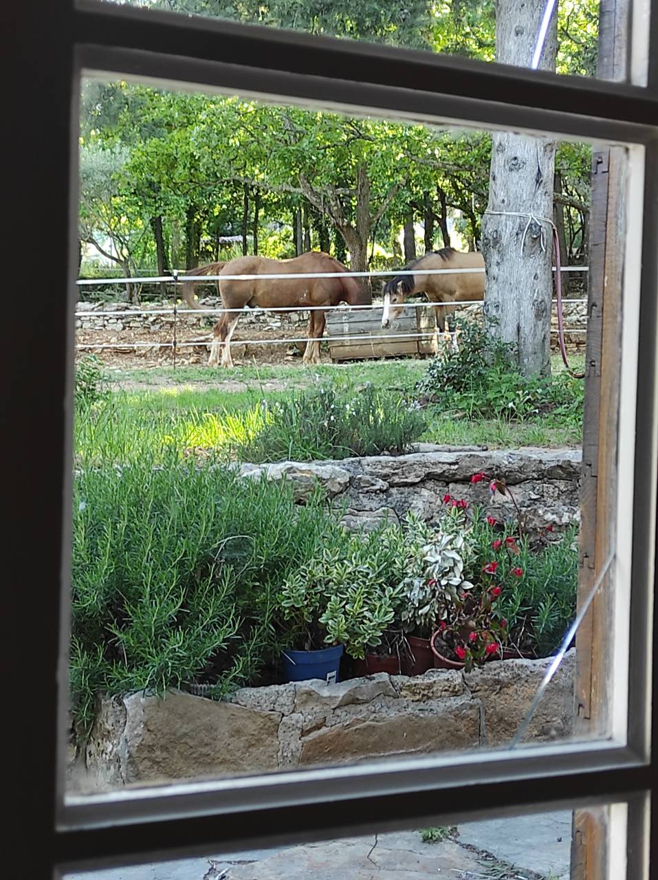 Ancienne bastide + dépendance sur 5,5 ha de terrain