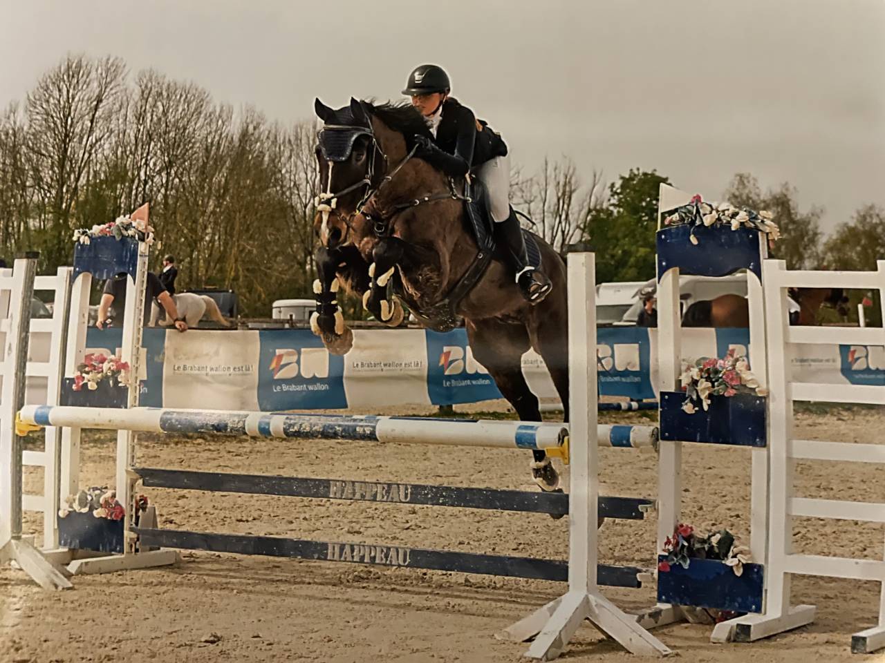 I'am vd hongre de 11 ans 