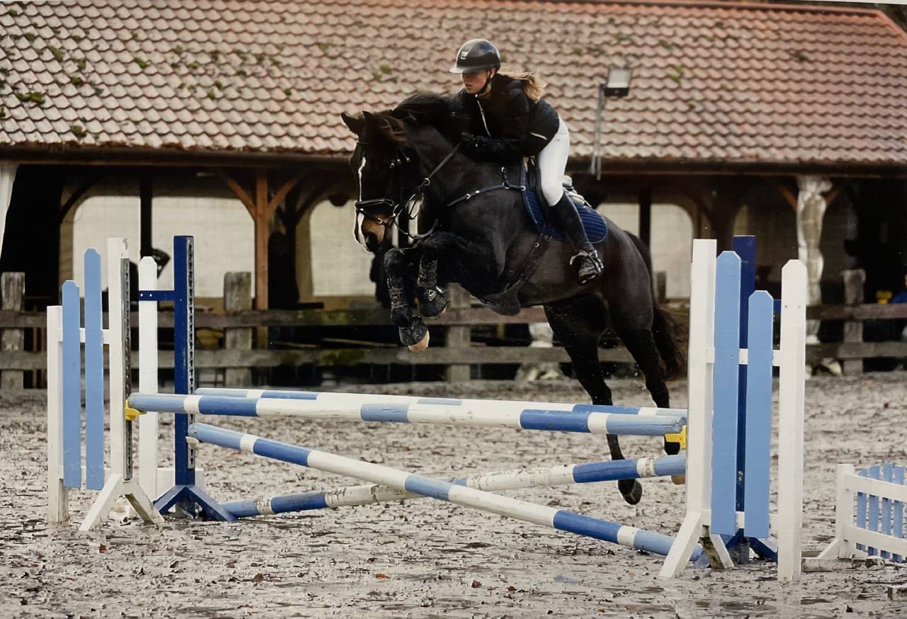 I'am vd hongre de 11 ans 