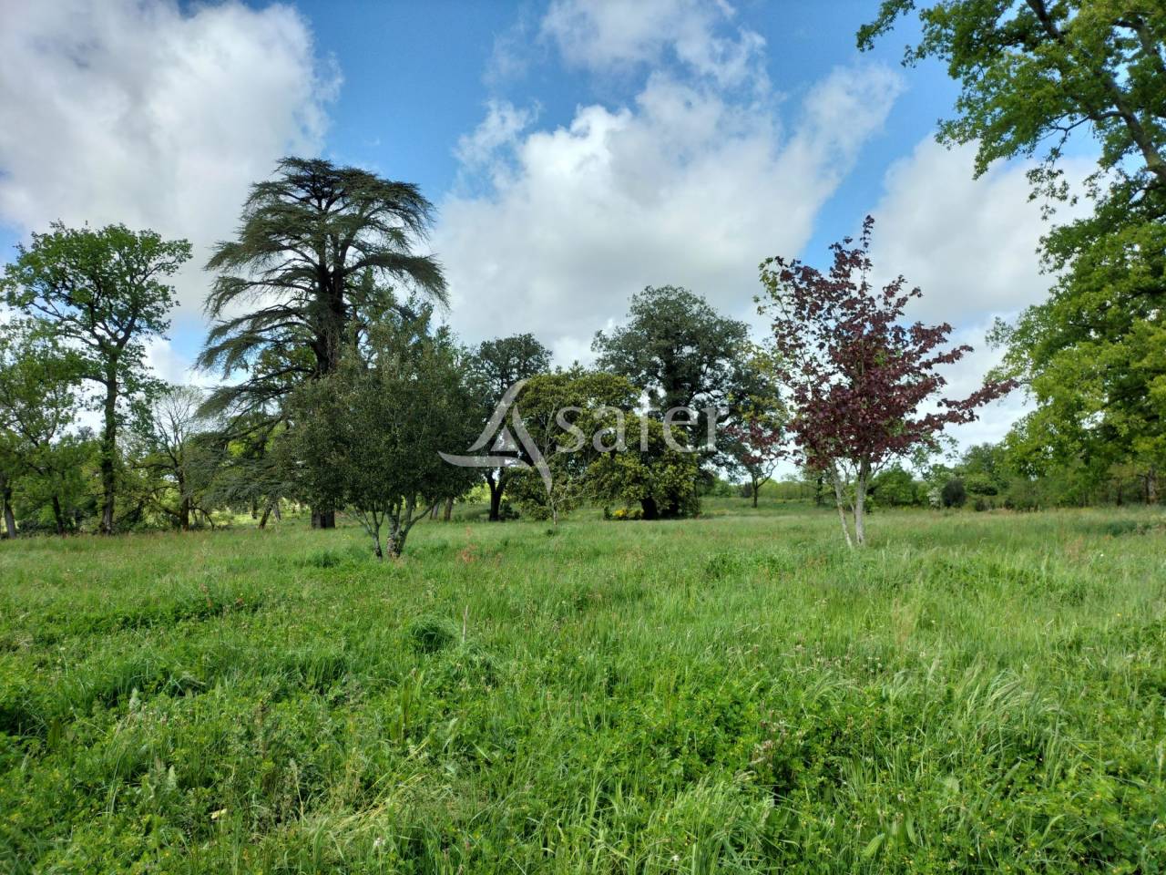 Château du XIXème siècle en Vendée avec 56.5 hectares, dépe