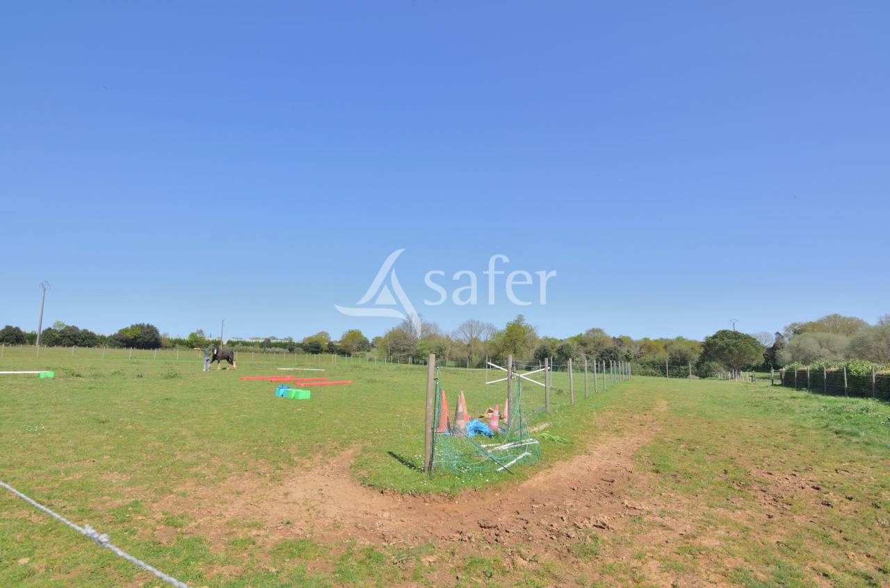 Maison d'habitation avec 2 gîtes équestres sur env. 6ha