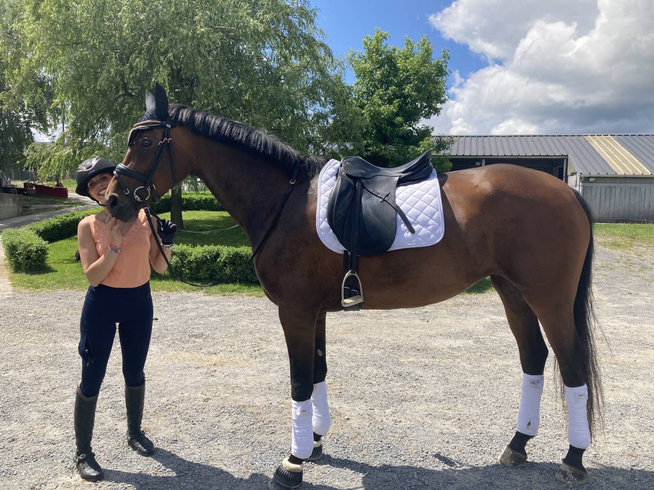 Jument Dressage 8 ans