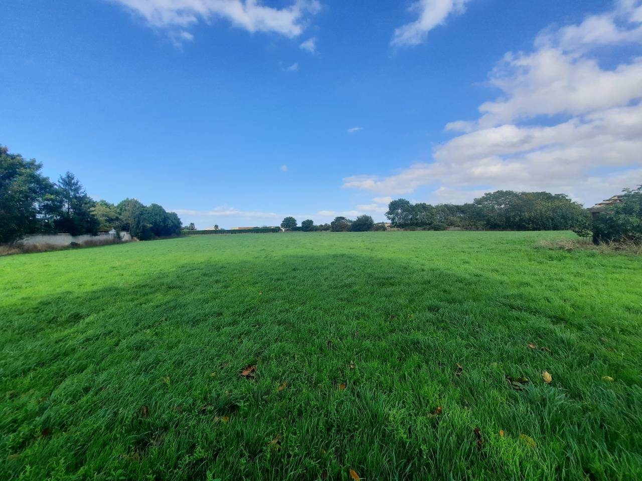 Propriété idéale chevaux sur 1,2 ha - 30 mn La Rochelle