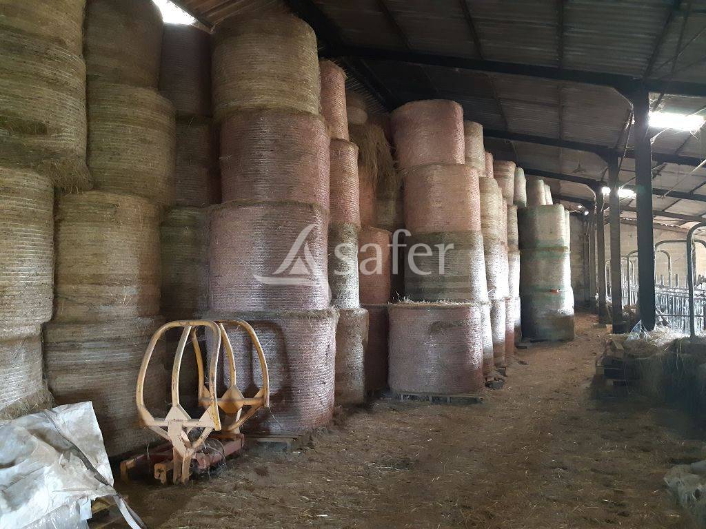 Propriété agricole d'élevage sur environ 79 ha