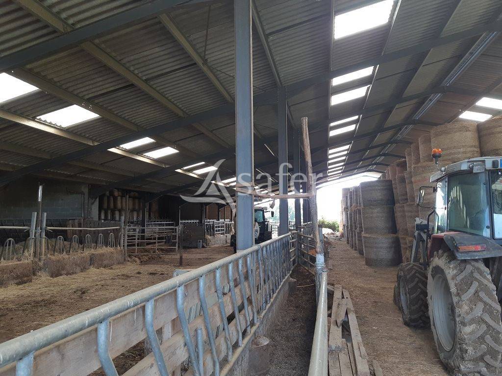 Propriété agricole d'élevage sur environ 79 ha