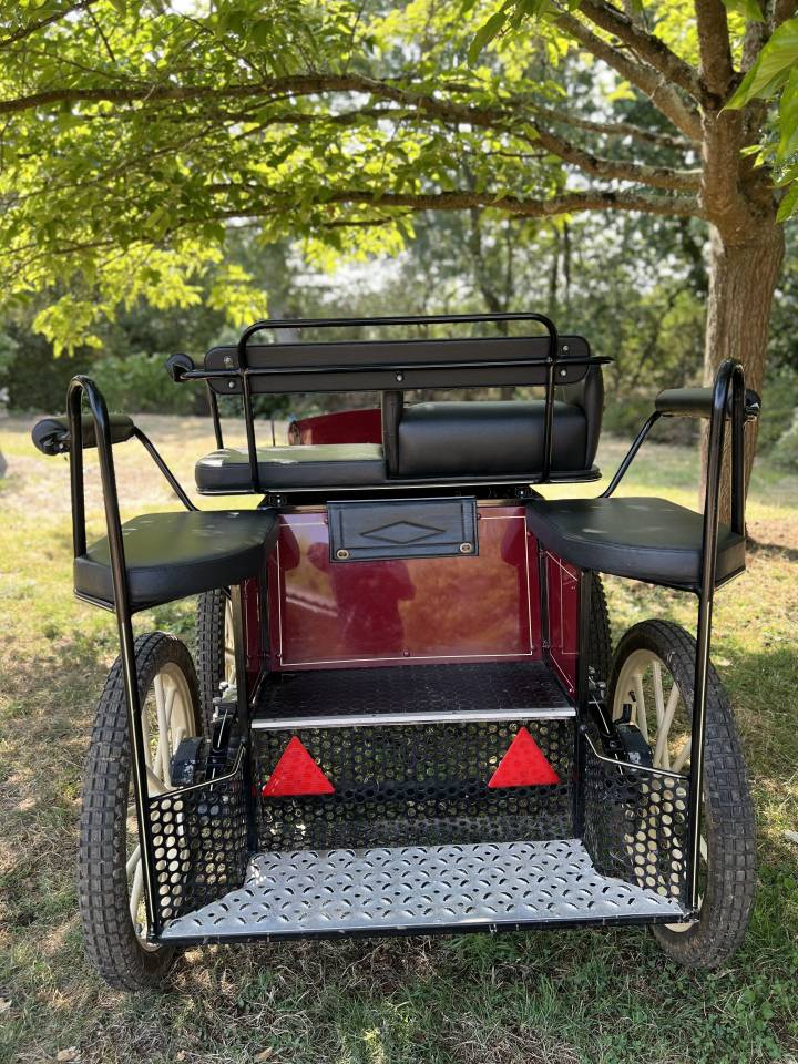 Voiture Marathon loisirs POUVREAU 1 poney TBE