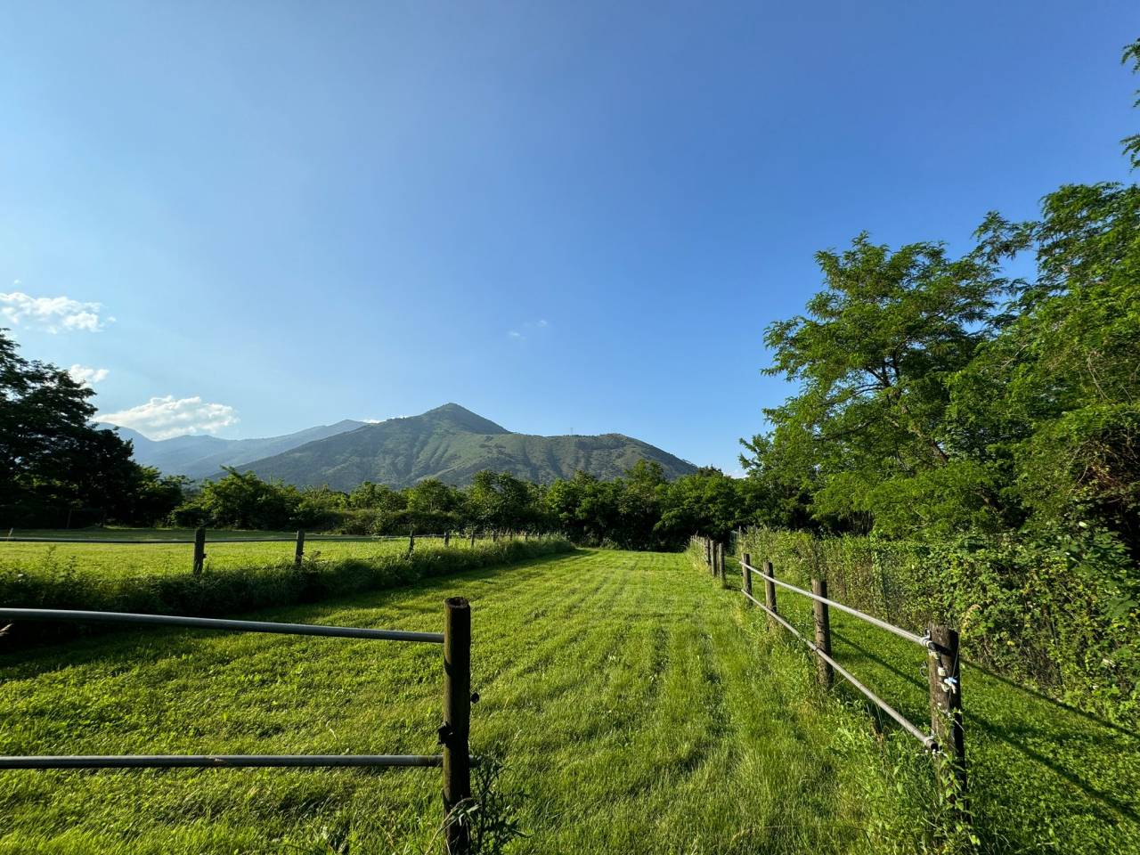 Magnificent Italian Estate in Piedmont