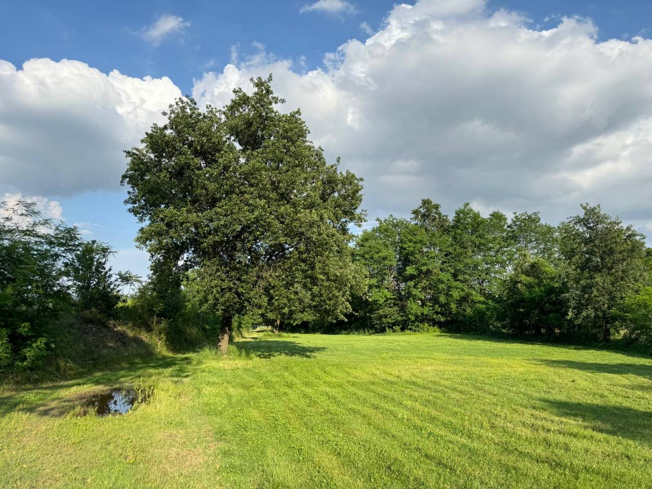 Magnificent Italian Estate in Piedmont