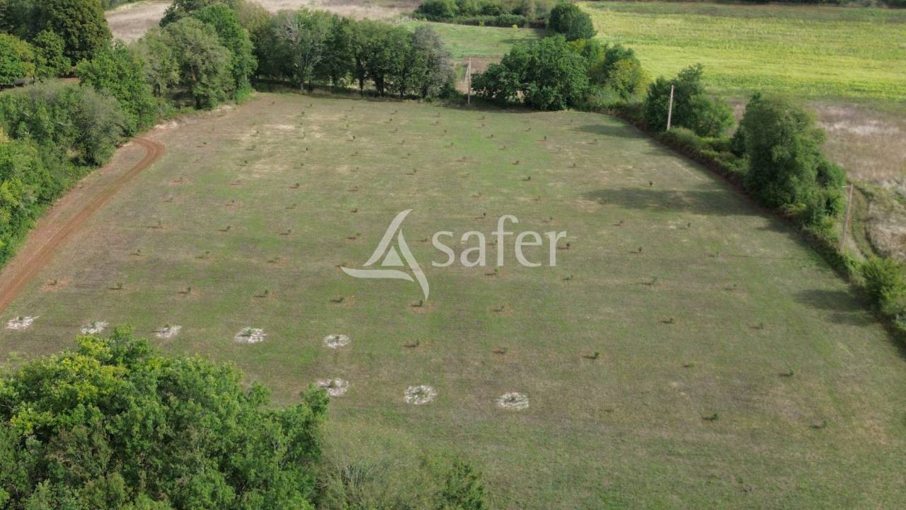 Belle propriété bâtie sur 17ha avec gîtes et verger, proche