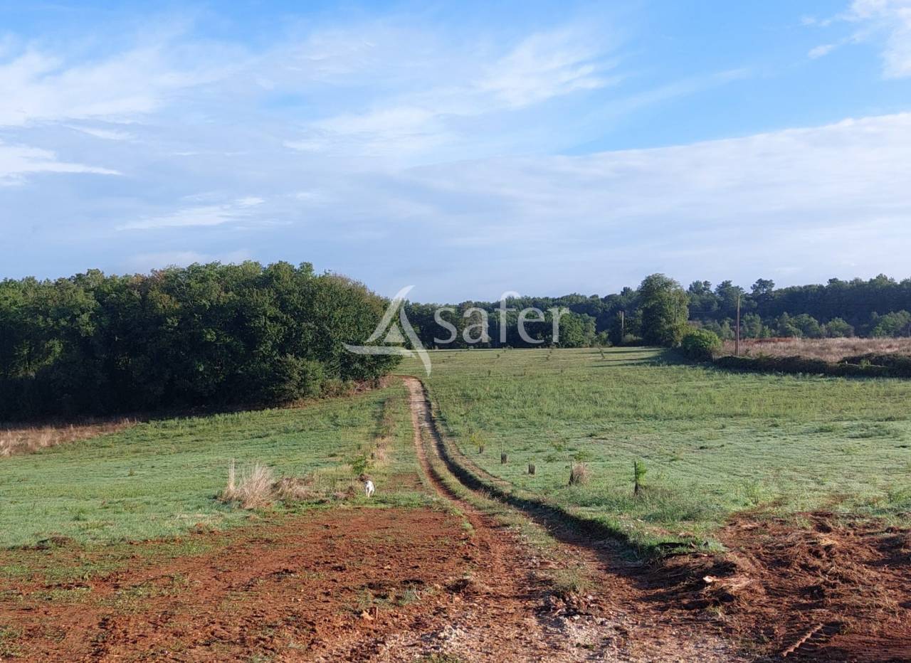 Belle propriété bâtie sur 17ha avec gîtes et verger, proche