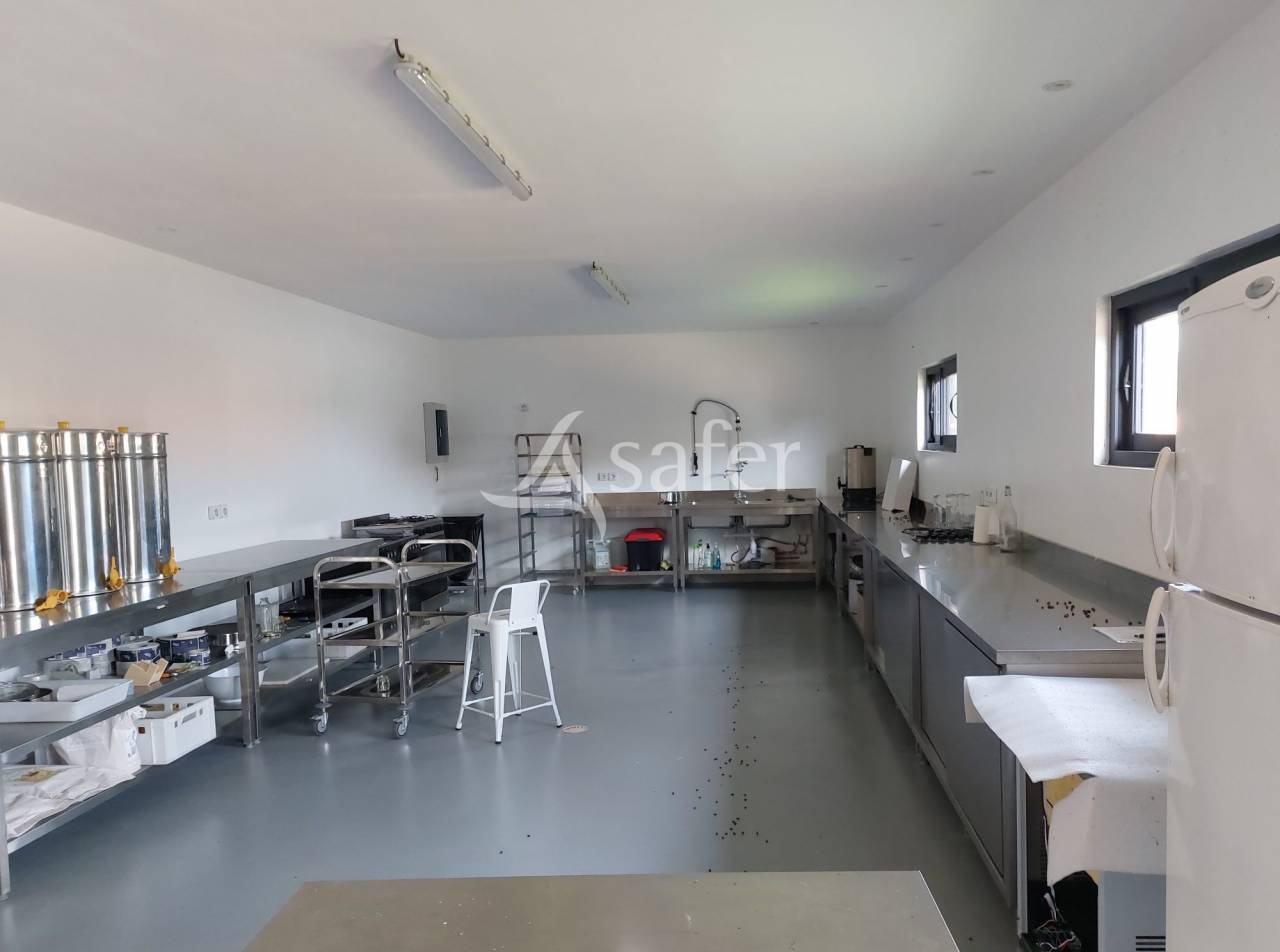 Belle propriété bâtie sur 17ha avec gîtes et verger, proche