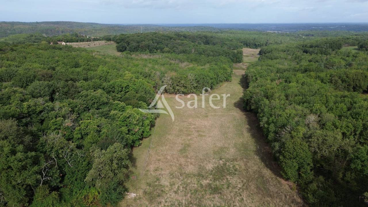 Belle propri&eacute;t&eacute; b&acirc;tie sur 17ha avec g&icirc;tes et verger, proche