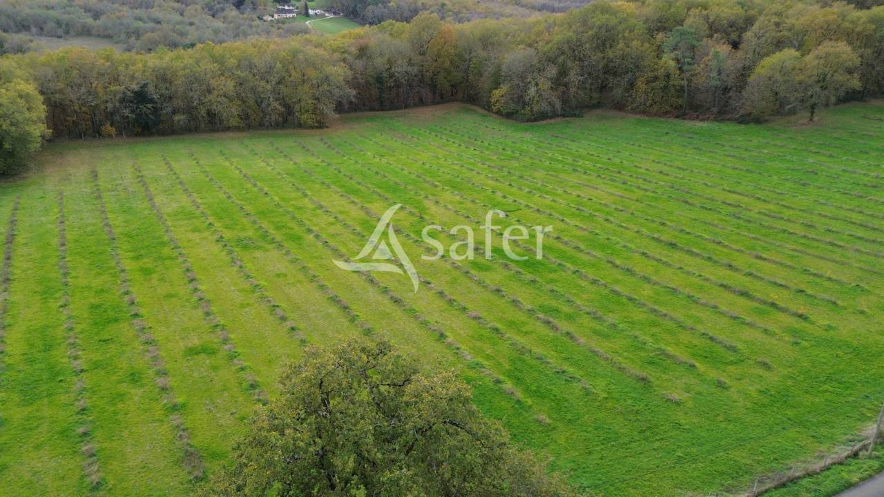 Exploitation bio sur 17ha avec verger, proche Lalinde