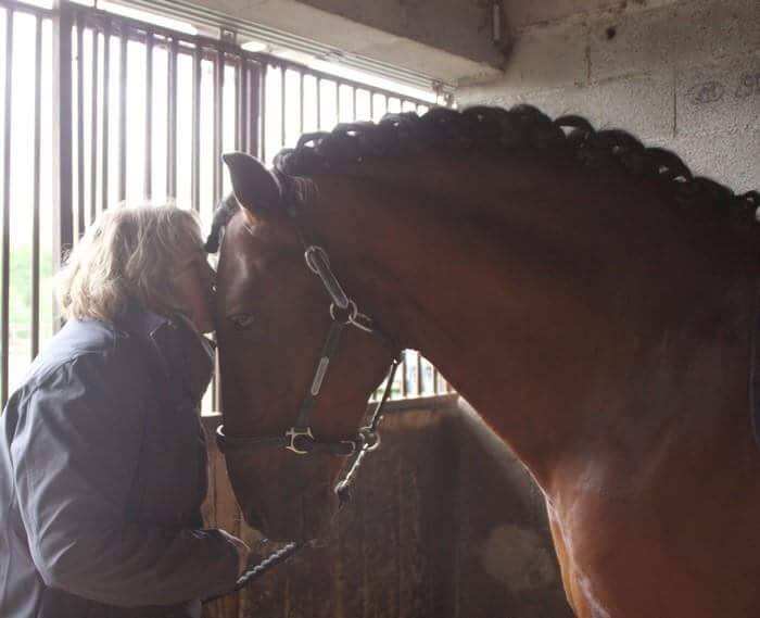 VENDS  POULICHES OC  NÉES  DE PARENTS PP PRE