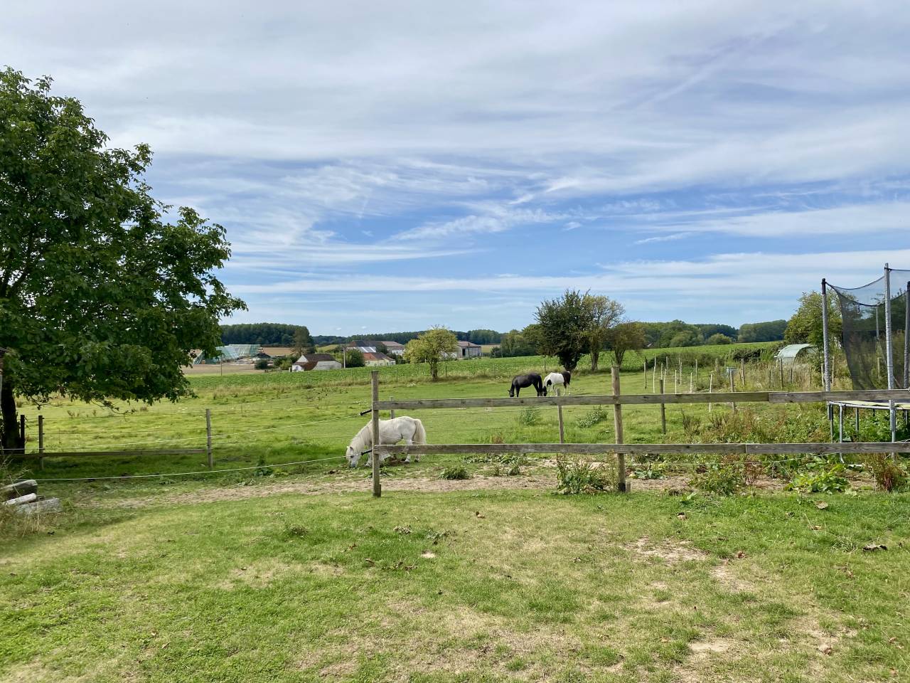 Fermette sur 88 Ares, boxes, paddock et prairie.