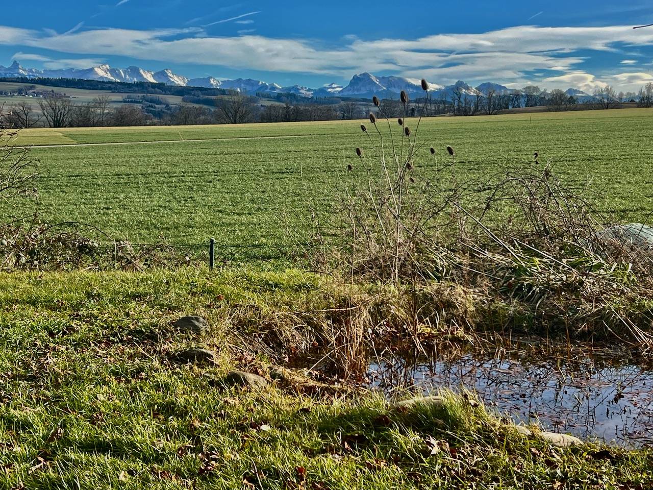 Ferme rénovée de 2 logements pour petits animaux