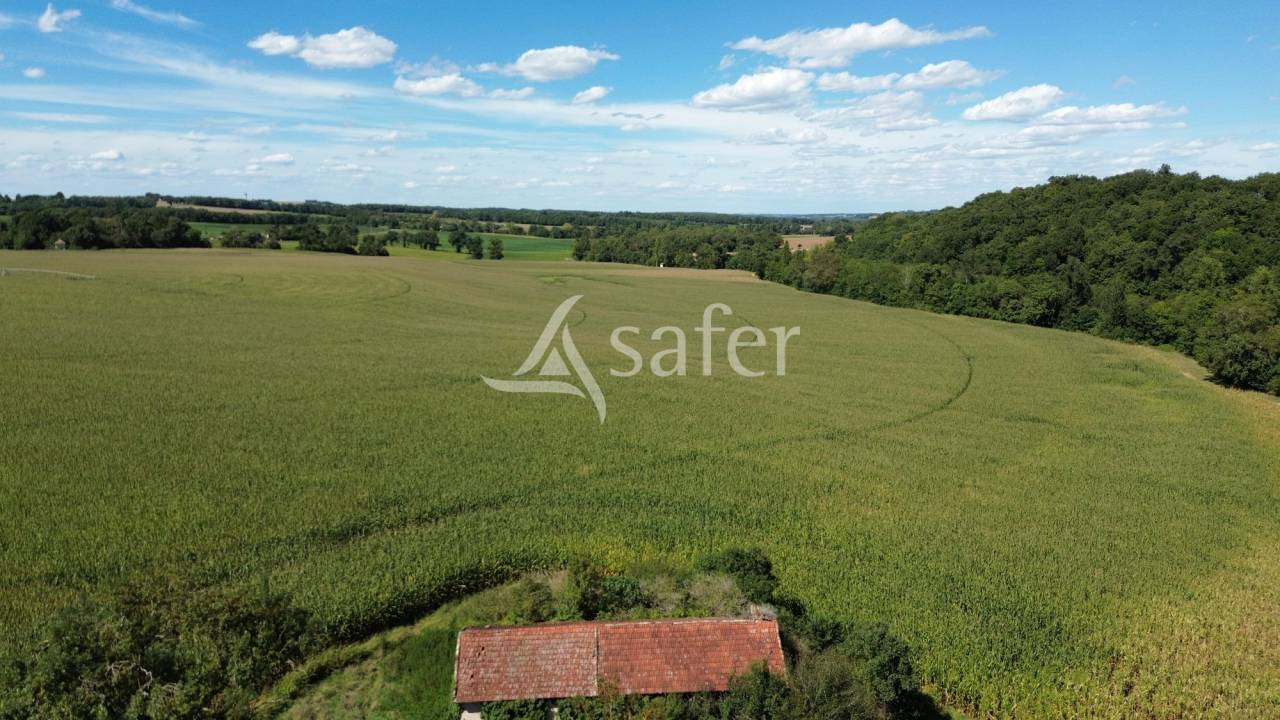 Domaine de caract&egrave;re sur 170ha aux portes du Gers