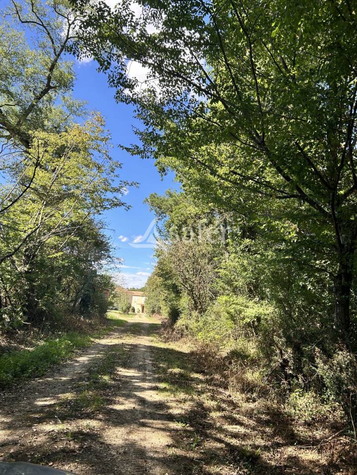 Domaine de caract&egrave;re sur 170ha aux portes du Gers