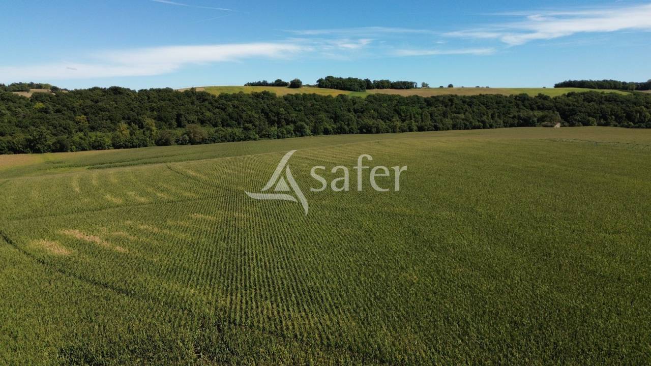 Domaine de caract&egrave;re sur 170ha aux portes du Gers