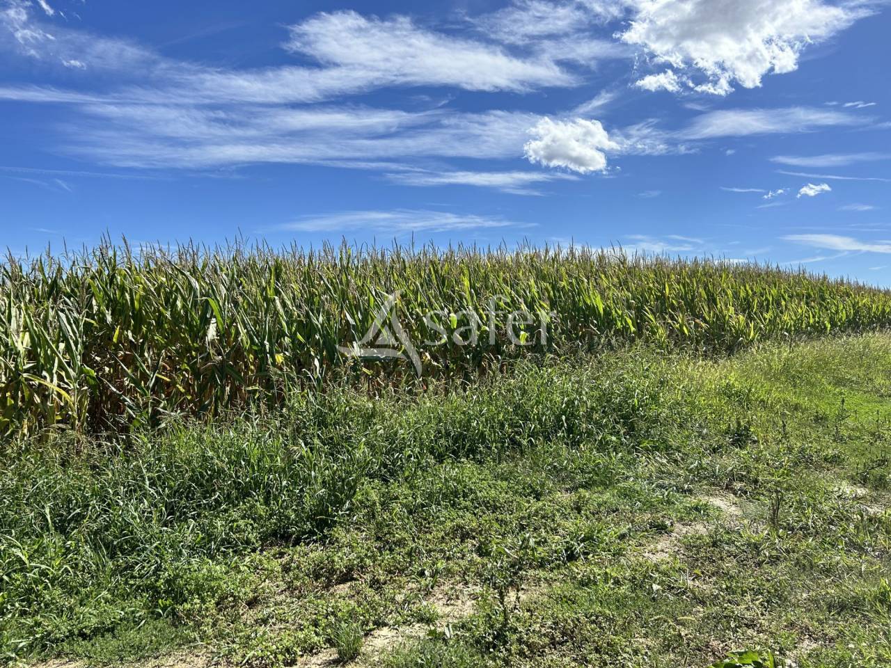 Domaine de caract&egrave;re sur 170ha aux portes du Gers