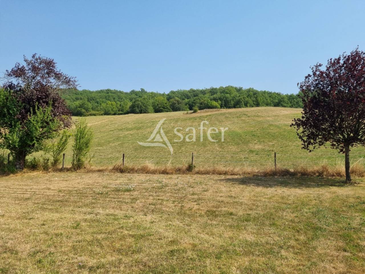 Gîte rural avec dépendances agricoles, rond de longe et piscin