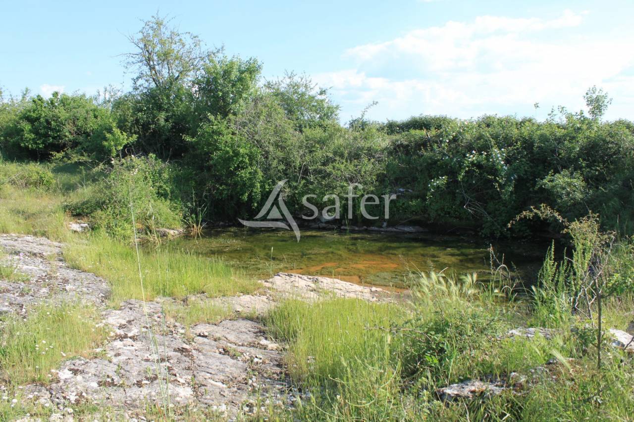 Granges quercynoises sur 13 ha au Coeur du Causse du Quercy Loto