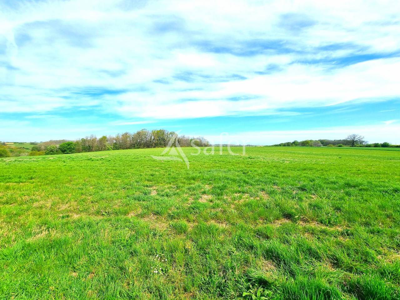 Ancienne ferme 151 m² habitable avec dépendances sur 7 ha sect