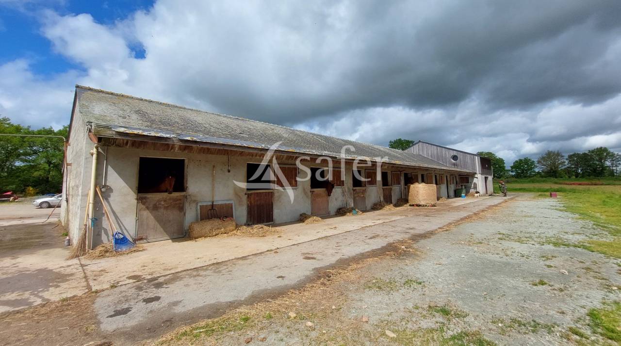 Propri&eacute;t&eacute; &eacute;questre - centre d'entra&icirc;nement 28 ha