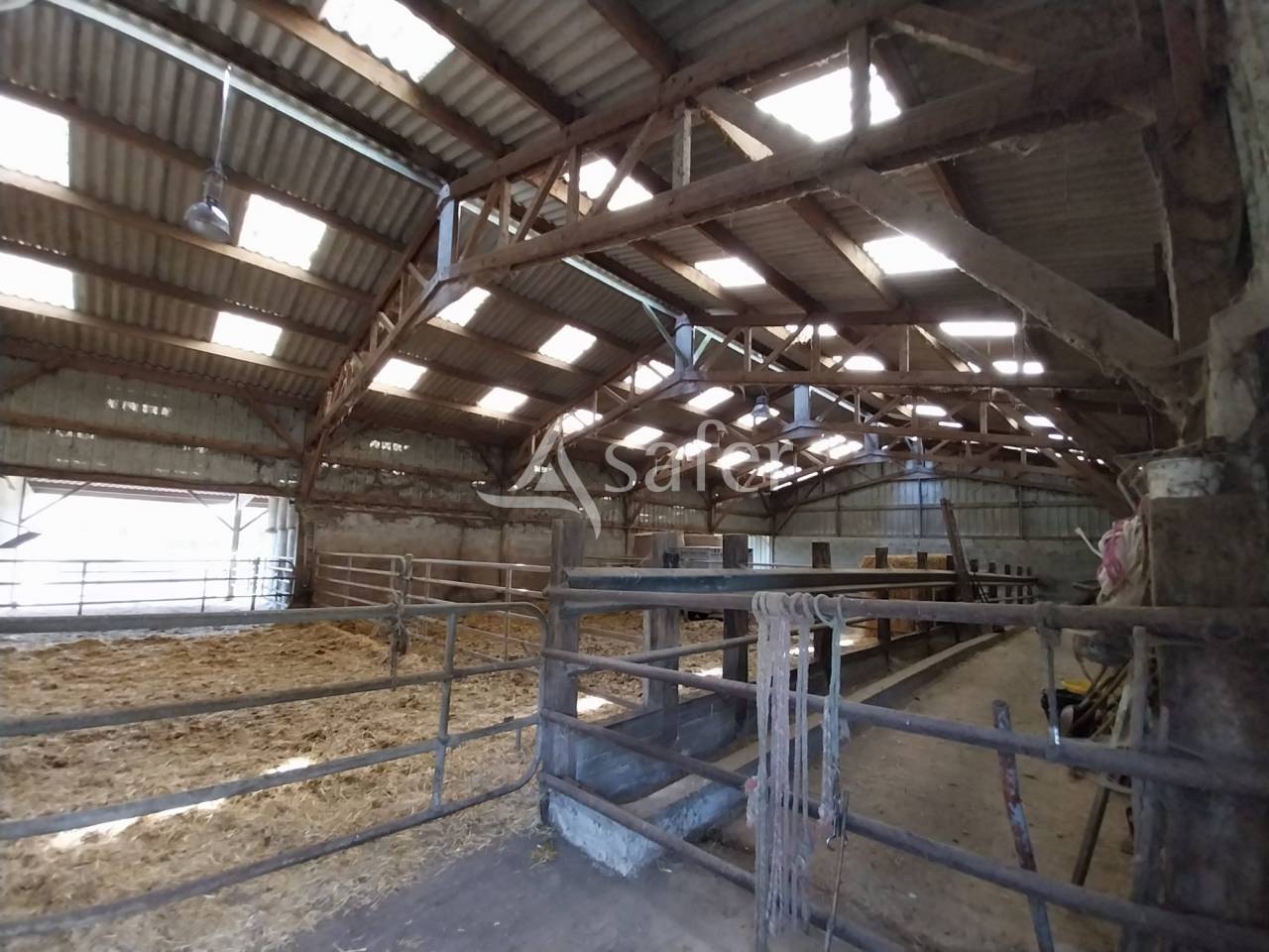 Ferme élevage 25 ha