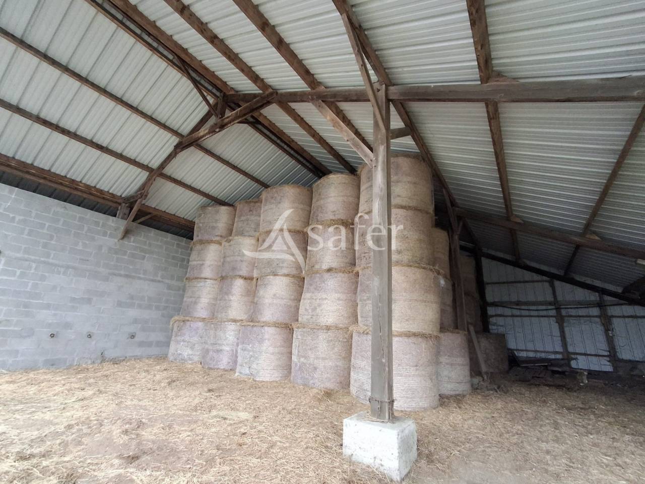 Ferme élevage 25 ha