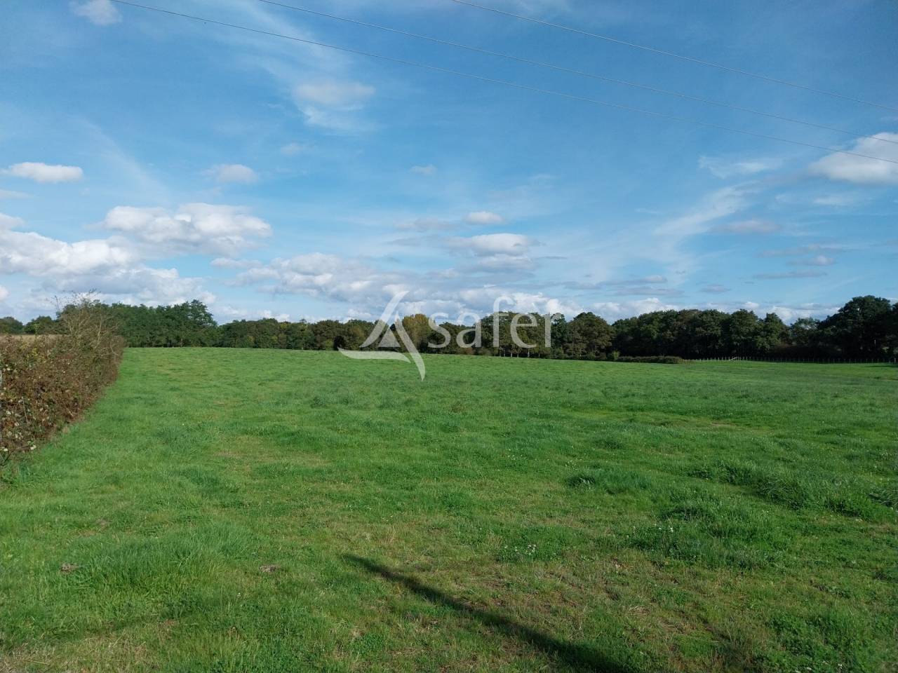 Ferme élevage 25 ha