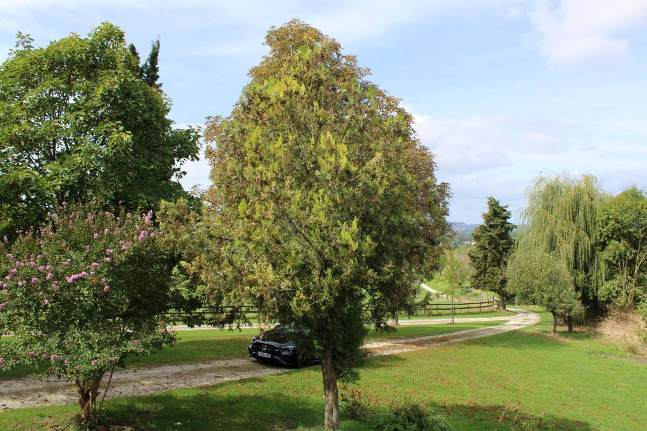 PROPRIETE DE 40 HECTARES DANS LE LOT ET GARONNE