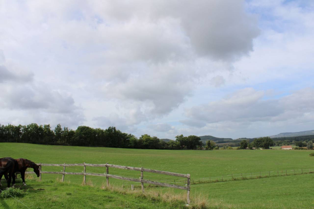 PROPRIETE DE 40 HECTARES DANS LE LOT ET GARONNE