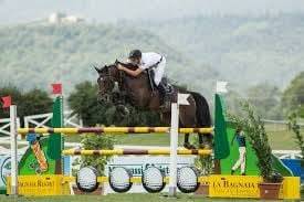 Pouliche CSO bai foncée gros potentiel souche 145