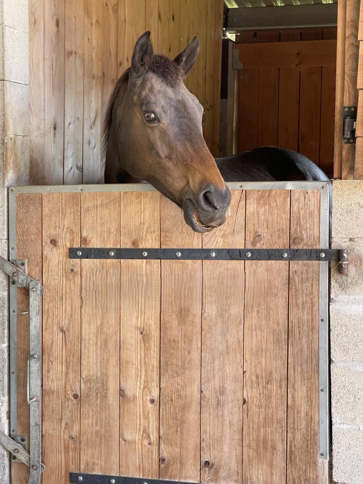 Propriété Equestre sur 10 hectares et maison en pierre