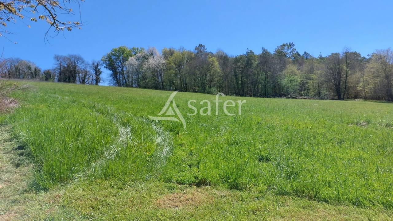 Propri&eacute;t&eacute; b&acirc;tie sur 28ha proche Brant&ocirc;me