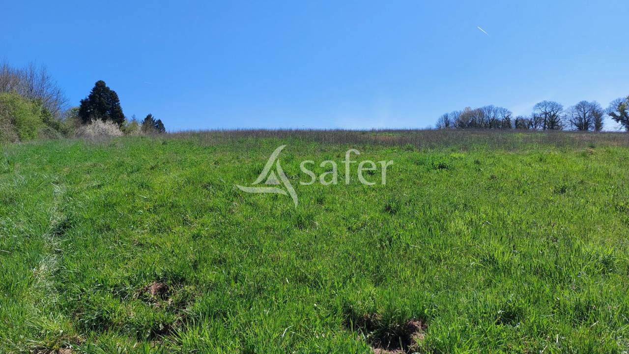 Propri&eacute;t&eacute; b&acirc;tie sur 28ha proche Brant&ocirc;me