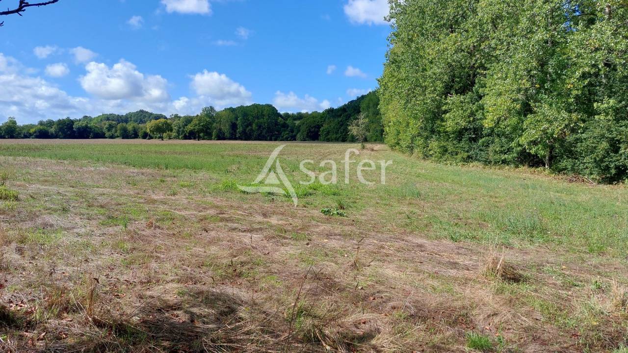 Propri&eacute;t&eacute; b&acirc;tie sur 28ha proche Brant&ocirc;me